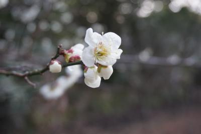 2019年3月 有馬温泉