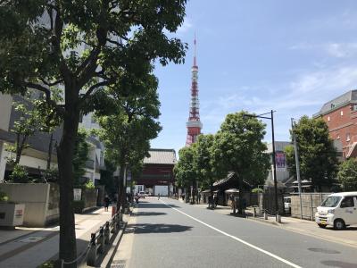 朝観光（６）　増上寺