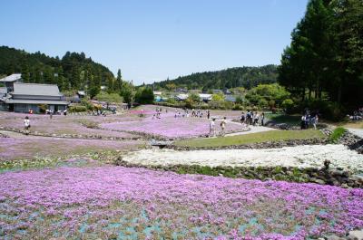 三田花のじゅうたん