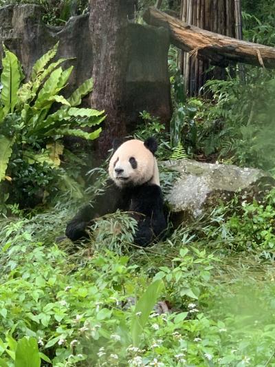 台湾★雨の台北１泊２日旅（2日目）