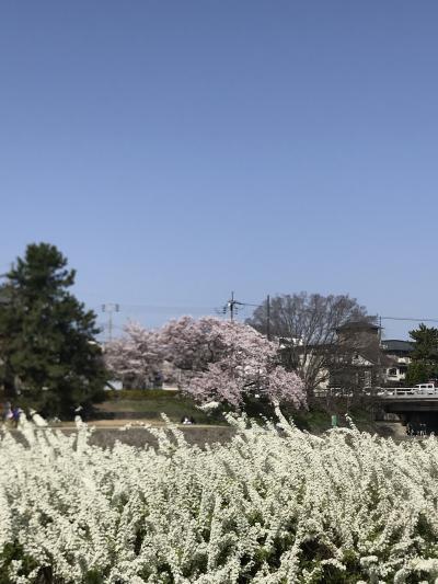 2018年 春の京都と神戸の旅