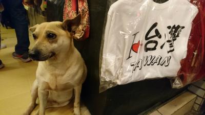 Day6 平渓線に乗って