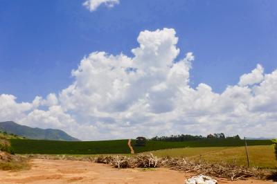 世界中からバイヤーが集まる、最高品質のブラジル珈琲豆を産出する地：Carmo de Minas（ミナスジェライス州／ブラジル）#3