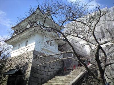 伊賀上野城と忍者屋敷