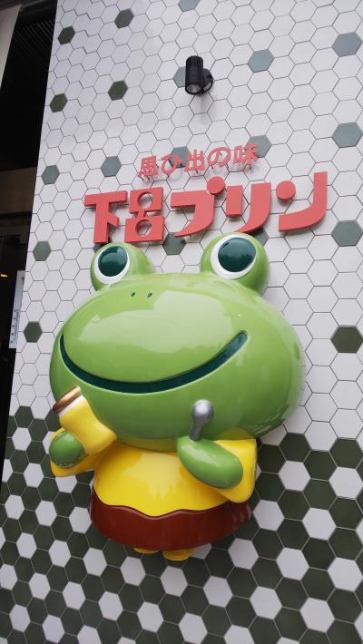 わんこと一緒に下呂温泉