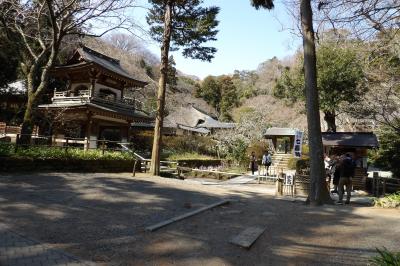 北鎌倉浄智寺－2019年春