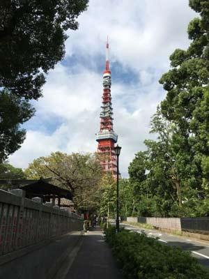 東京の街と神社と、ついでディズニー01