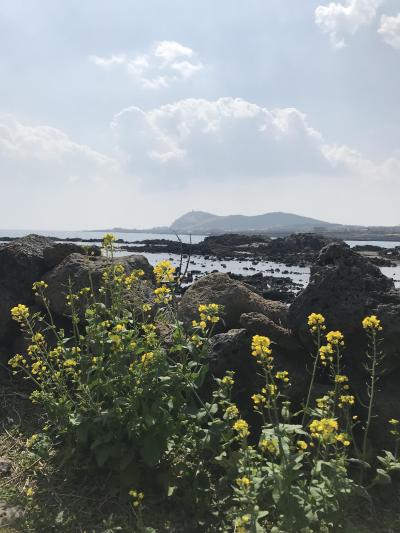 美しの島、春のチェジュ島　――　海と美味しいものいろいろ――１日目