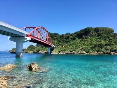 もうすぐ沖縄にうりずんの季節がやって来ます♪