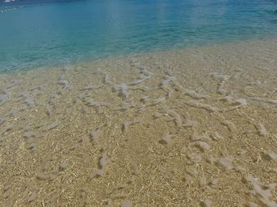 2018 　沖縄本島　後編　伊計島　大泊ビーチ　ラグナガーデンホテル