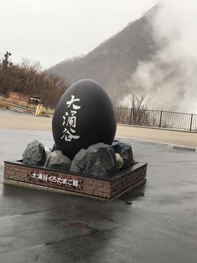 箱根まったり一人旅。「はなをり」に宿泊