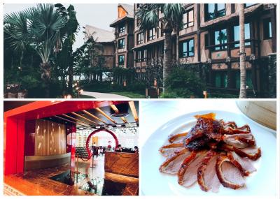 【ANA特典航空券で行く】6年ぶり、6回目の5泊8日『香港』旅行！【合計130000歩！】⑥ 香港ディズニーリゾート  ホテル&グルメ編