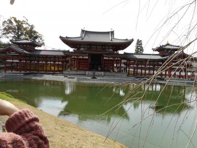 孫娘に連れられ、我々シニア夫婦が京都旅行（宇治平等院へ）