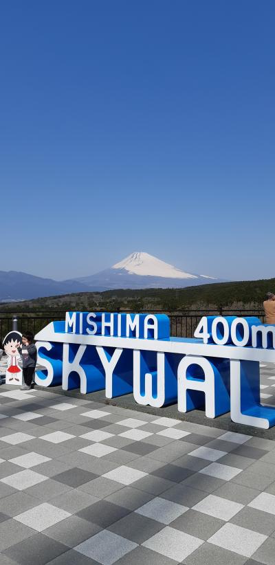 富士山を見に行こう①初三島スカイウォークへ