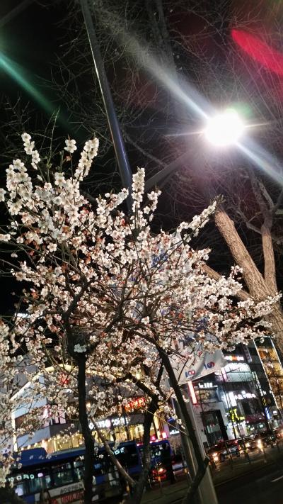 まだ寒かった3月ソウル 4泊5日