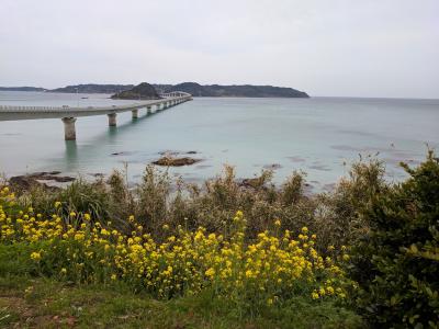 一泊で山口の観光スポットを巡るドライブ旅行