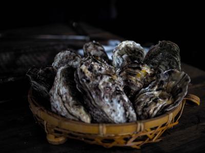 能登牡蠣食べに、レッツゴー