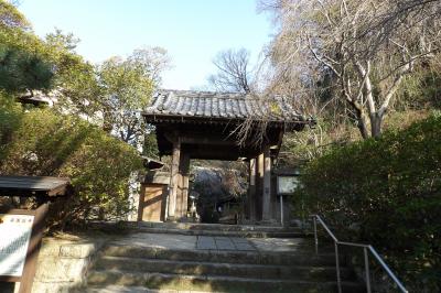 開花は未だの安国論寺山門前