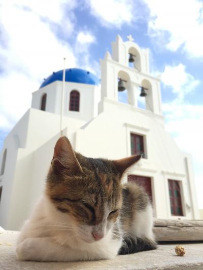 アテネから日帰りサントリー島