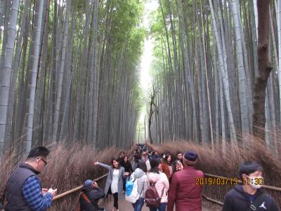 京都でいとこ会♪&ちょこっと福井　後編