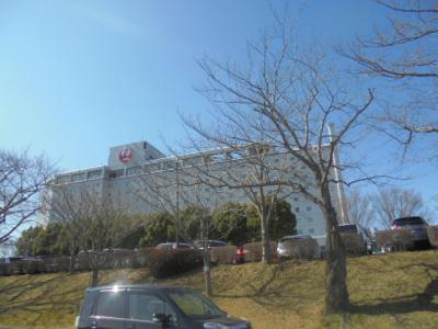 成田街道走行して　成田空港に行きました