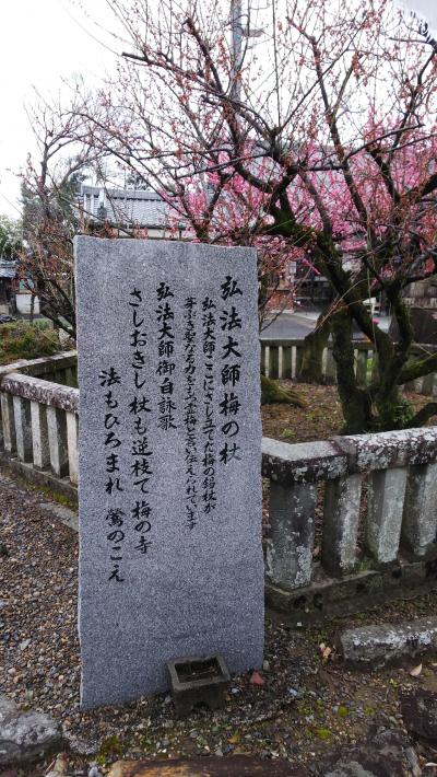 鏡島弘法梅寺乙津寺2019