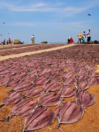 2019年 スリランカ旅行 1 ニゴンボ編