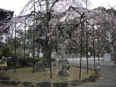 日帰りバス旅行（和歌山マリーナシティ・道成寺）