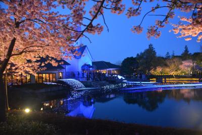 湯の山温泉と愛知のしだれ梅となばなの里と椿大神社