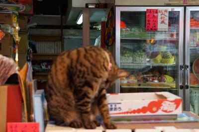 ２０１９ ＪＭＢダイヤ卒業旅行 ＩＮ 香港 その１