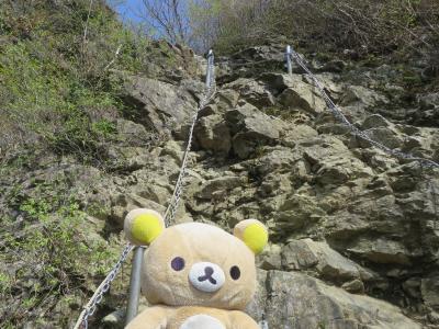 神奈川県　最高峰目指すクマ。ヤビツ峠～塔ノ岳（泊）