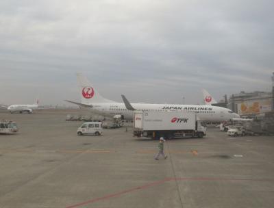 乗り物ばっかり四国旅（６）【終】松山空港から羽田空港へはＪＡＬクラスＪで