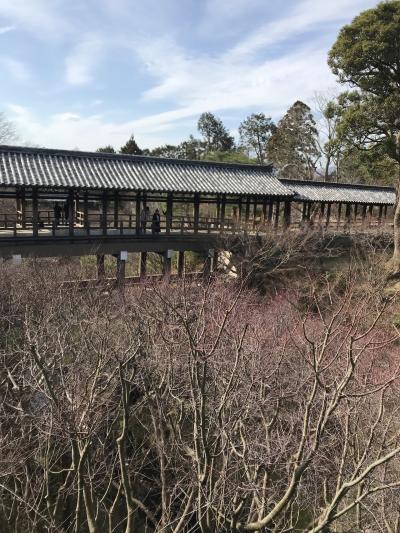 京都で食べたもの