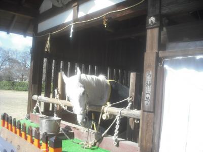 平成31年3月24日　神仏霊場　賀茂別雷神社行