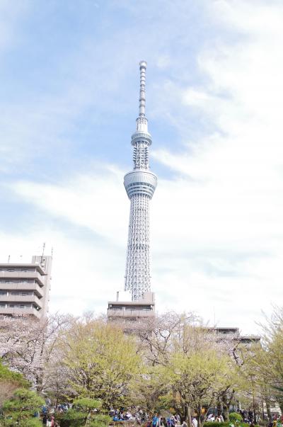 2018年の桜咲く頃、隅田川沿いをぶらぶらと