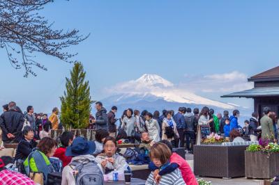 晴天の日は富士山を眺めに～伊豆の国パノラマパーク～