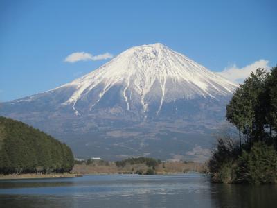 富士山三昧の素敵な1日！