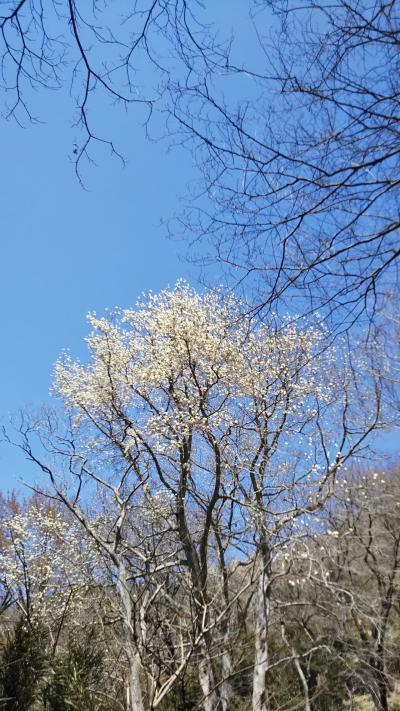 備忘録　プラス体重20kg後の、登山修行４と５  宝篋山3と4回目