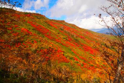 一度見てみたかった！銀泉台の紅葉
