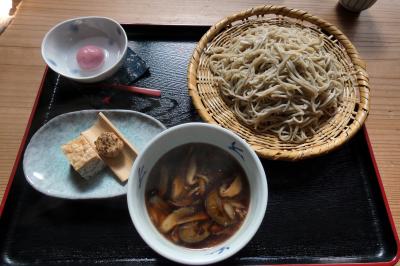 沢地グローバルガーデン　手打ちそば いしどうの昼食　三島市佐野体験農園 ブロッコリーの収穫