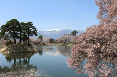 高遠の桜はすばらしかった、高遠城址公園とその周辺の桜スポットを回ってみました。2018年4月