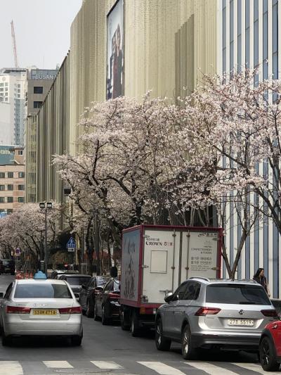 一泊二日釜山③