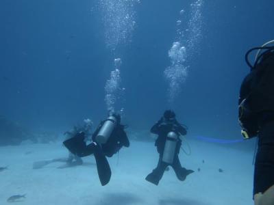 パラオの青い海に抱かれて（３）憧れのパラオ初ダイビングはジャーマンチャネル