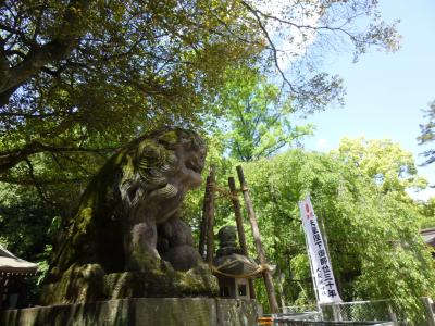 いろんな狛犬が！くらやみ祭ちら見も in 大國魂神社