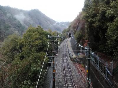 断崖絶壁にある秘境駅！外界へと通じる一本道が もはや登山レベル！飯田線７つの秘境駅めぐり②（田本駅編）