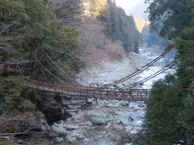 阪急ツアーで行く四国の旅5　祖谷渓のかずら橋