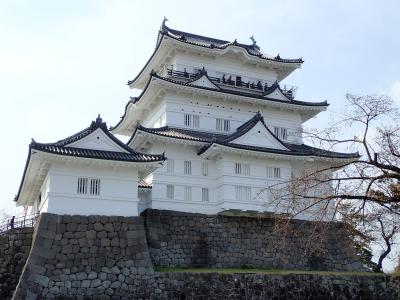 小田原城ちょこっと旅　日本100名城巡りの巻