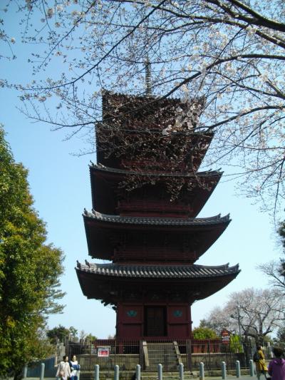 春の池上本門寺