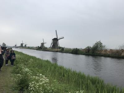 ドイツ・ライン川下りや河畔の町やベネルックス三国の運河・花・名画を楽しむ旅　5-1　オランダのシンボルの一つ風車群のあるキンデルダイク