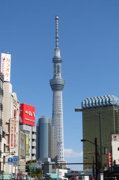 こだまグリーン車で行く東京観光